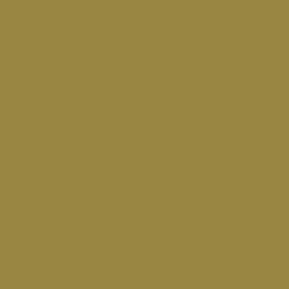 Product Image of RAL 1020 - Olive Yellow