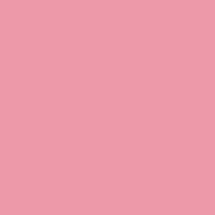 Product Image of RAL 3015 - Light Pink