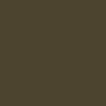 Product Image of RAL 6003 - Olive Green