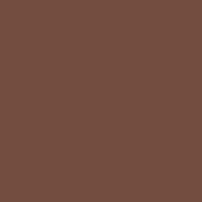 Product Image of RAL 8025 - Pale Brown