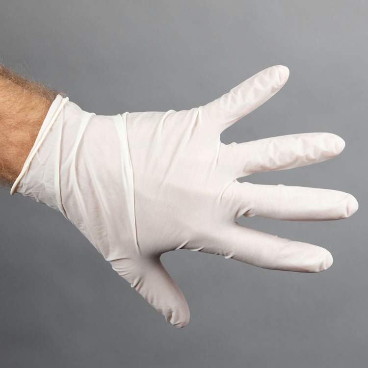 Product Image of Latex Gloves