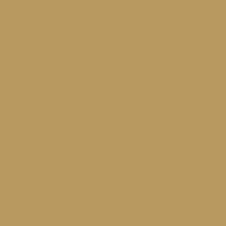 Product Image of RAL 1002 - Sand Yellow