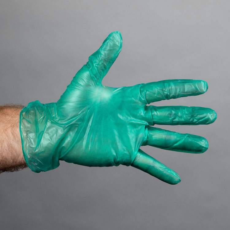 Product Image of Vinyl Gloves